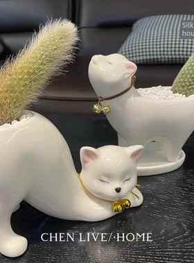 采购产品猫花盆，猫尾柱花盆，陶瓷创意装饰饰品，桌面绿色植物，