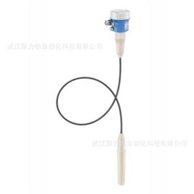 E+H恩德斯豪斯液位计FTI56-AAC1RV143A1A现货