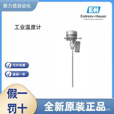 TM131-86BBCCB1BX1AKAC2CH3AA1 恩德斯豪斯E+H 工业温度