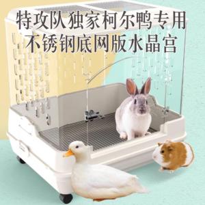全视野压克力水晶宫轻奢柯尔鸭专用观赏鸡兔荷兰猪鸭笼防溅防飞毛