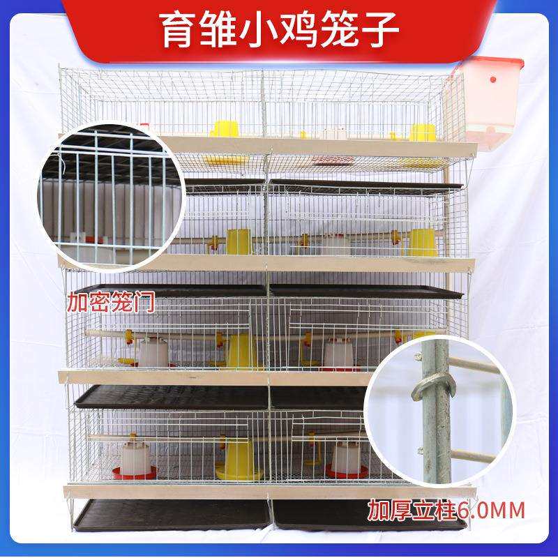 小鸡育雏笼 4层立式雏鸡笼 大型育雏鸡鸭鹅笼子 鸡笼养殖笼厂家