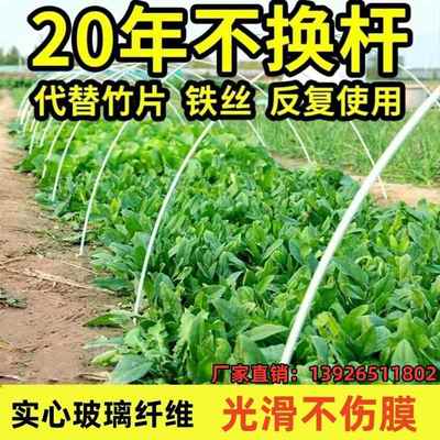 大棚拱棚支架爬藤弓型支撑杆菜棚实心杆防虫网纤维杆花卉4米杆子