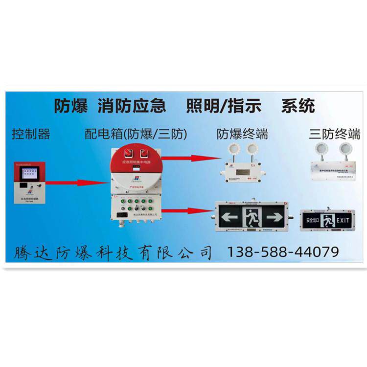集中控制型应急照明控制器A型应急灯具指挥控制系统智能型操作箱