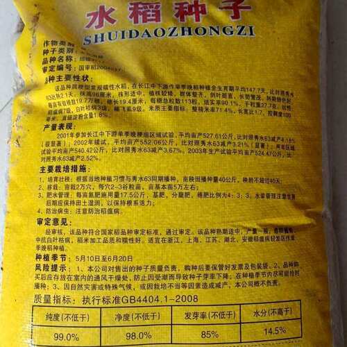 绍糯9714水稻种籽优质糯稻新品种常规粳稻种籽高产抗病大田精选种