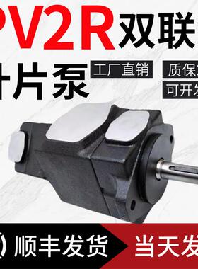 油研液压双联叶片泵PV2R11 PV2R12 PV2R13 PV2R23注塑机油泵PV2R4