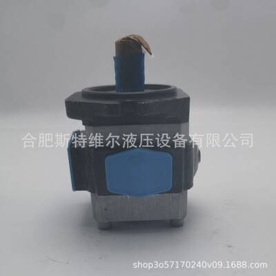 ECKERLE艾乐勒EIPC6-125RA23-10，EIPH艾可勒高压齿轮泵