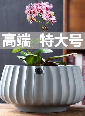原厂陶瓷花盆欧式发财树蝴蝶兰吊兰专用盆绿植特大号