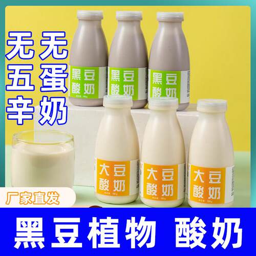 新疆包邮大豆酸奶纯素食黑豆植物薛三三发酵品原味无蔗糖精整箱菌