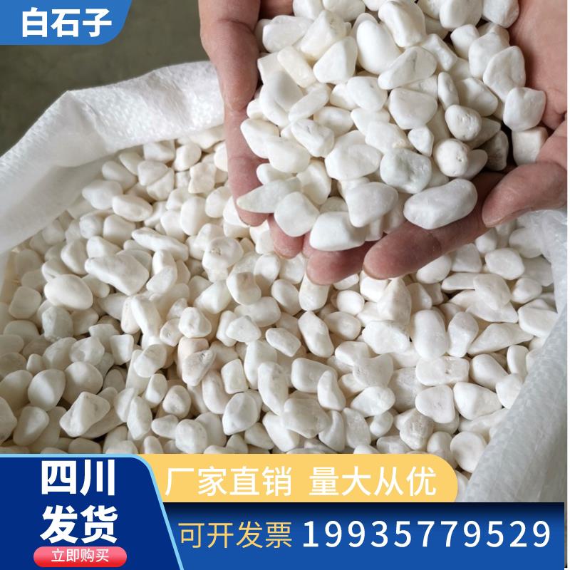 四川白色石子鹅卵石小白石头多肉铺面庭院造景雨花石鹅软暖石装饰