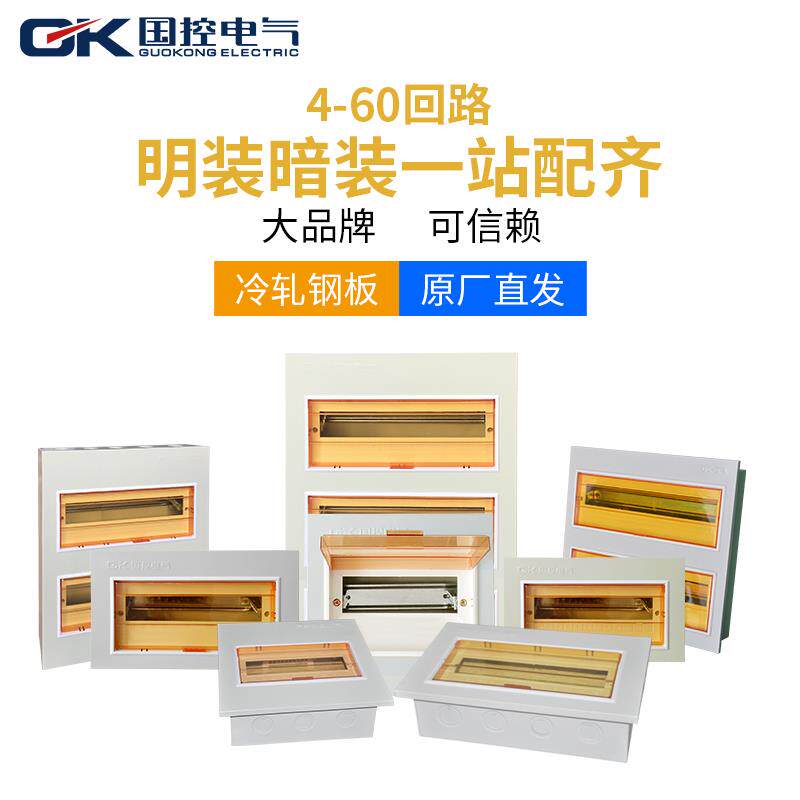 国控PZ30配电箱12回路4 6 8 10 15位导轨空开盒强电箱工程小体型