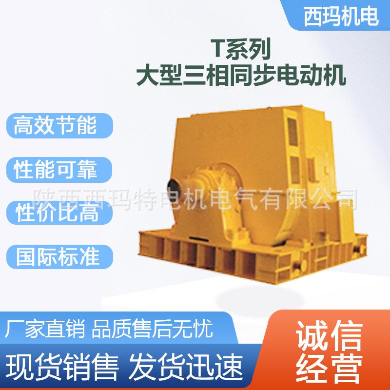 西安电机T1000-36/26001000W10V高压交流三相同步电动机