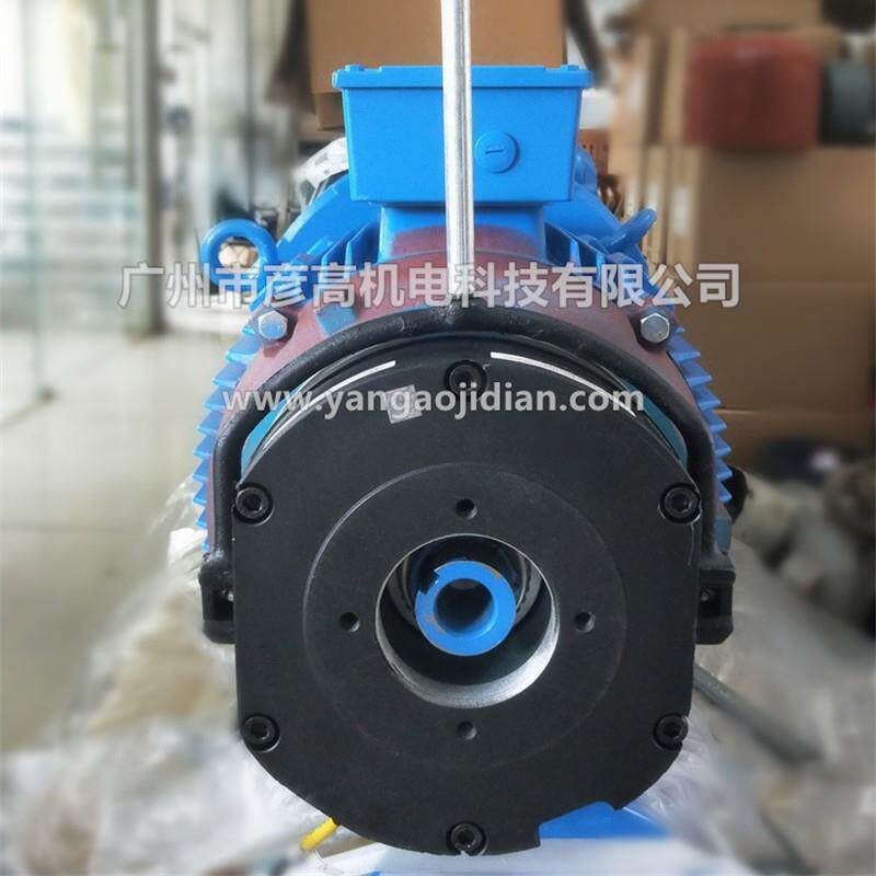 40T塔吊变幅行走失电制动器小车电机电磁铁BFK458-20E 260NM 180V