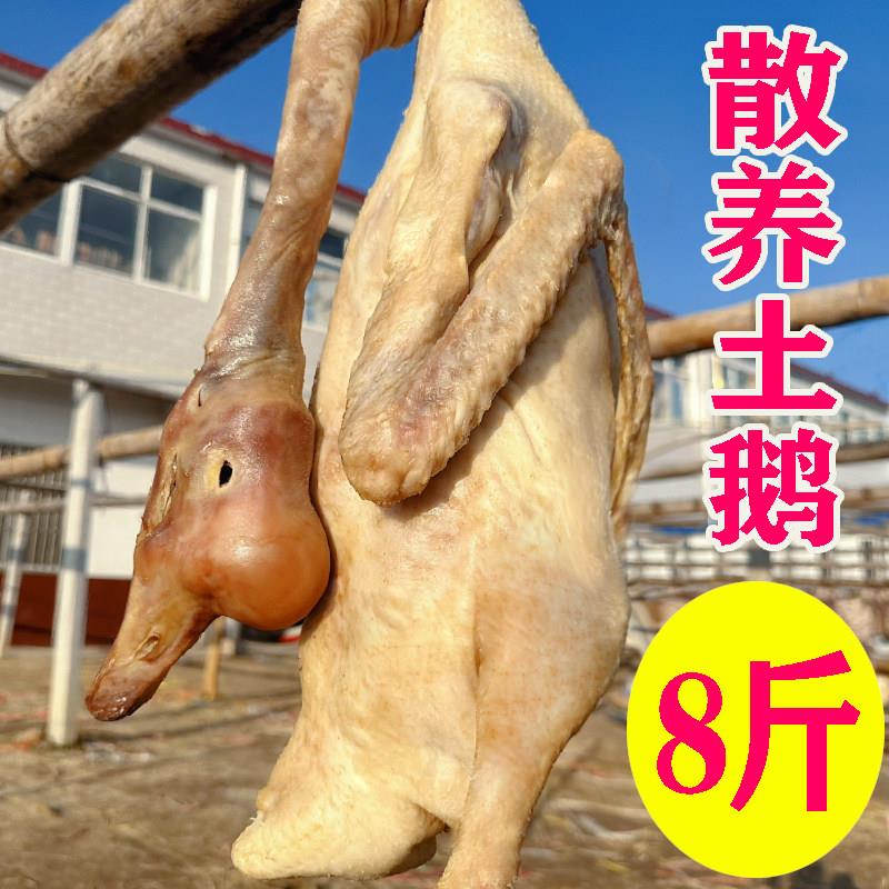 皖西大白鹅腌制咸土老鹅腊鹅农家散养放养风干鹅寿县手工腌制草鹅