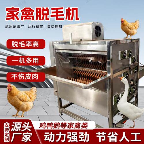 鸡鸭鹅家禽鸽子脱毛机全自动商用新款打毛褪毛鸡毛鸭毛脱毛机器