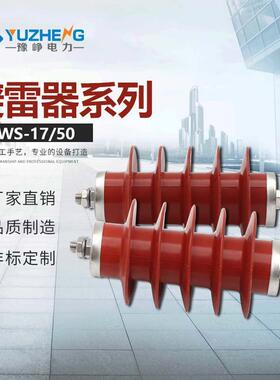 10KV氧化锌避雷器高压线路避雷器HY5WS-17/50硅橡胶一体压制
