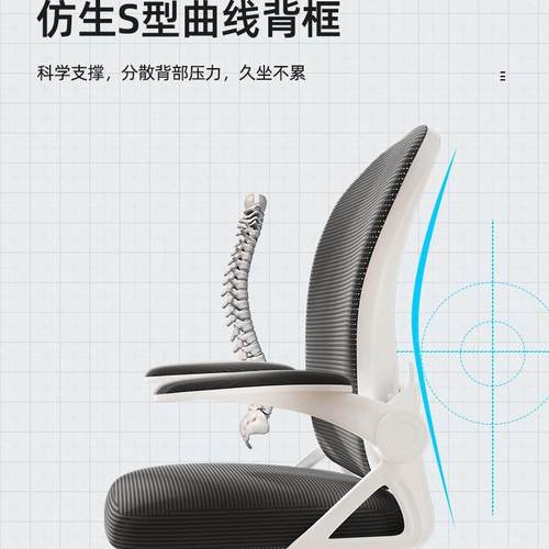 办公椅电习脑椅学椅办Z803体公久坐人学椅家用舒适久坐书工桌学生