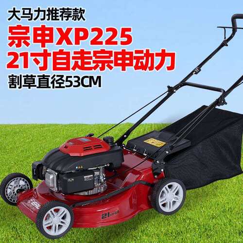 汽油草坪机XP225动力自走割草机四冲剪草机XP160手推除草机