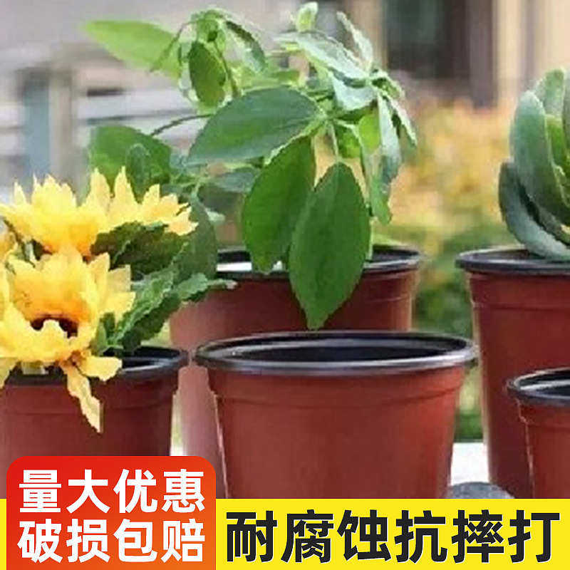 厂家批发塑料花盆多肉加仑盆育苗双色花盆简约加厚园艺控根花,鲜花速递/花卉仿真/绿植园艺,花盆,淘宝优惠券,粉丝福利购,淘宝优惠卷