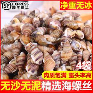 海螺活冷冻海锥海瓜子熟冻海锥大号麻辣海螺丝新鲜螺丝海鲜