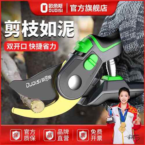 欧帝斯园艺剪刀果树剪树枝专用剪刀工艺修剪枝花艺SK5钢修枝剪