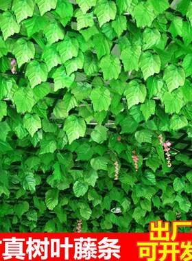 仿真树叶藤条葡萄叶藤蔓绿叶植物吊顶装饰管道遮挡绿植仿真花