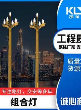 厂商供应景区组合灯LED中华灯玉兰路灯8米10米12米15米室外广场灯