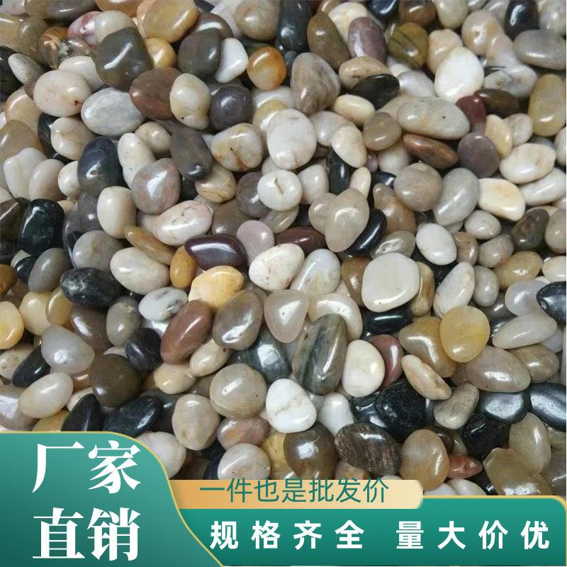 天然白色鹅卵石庭院造景石子50斤装园艺用造景水洗石