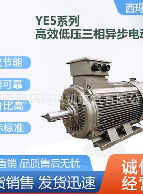 西安西玛电机YE5-160M2-2极15KW一级能效IE5交流三相异步电动机厂