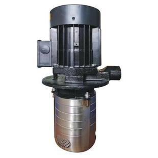 30机床泵加工中心冷却泵 多级泵LDPB2V TPK2T 3K立式