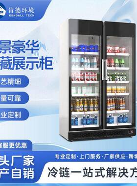 肯德环境双门饮料冷藏展示柜超市便利店酒水立式风冷保鲜冷柜定制