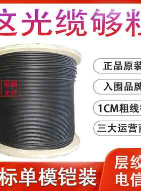 室外单模光缆国标4芯6心8芯12芯24芯层绞式铠装光纤线GYTA/S-B1.3