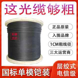 室外单模光缆国标4芯6心8芯12芯24芯层绞式铠装光纤线GYTA/S-B1.3