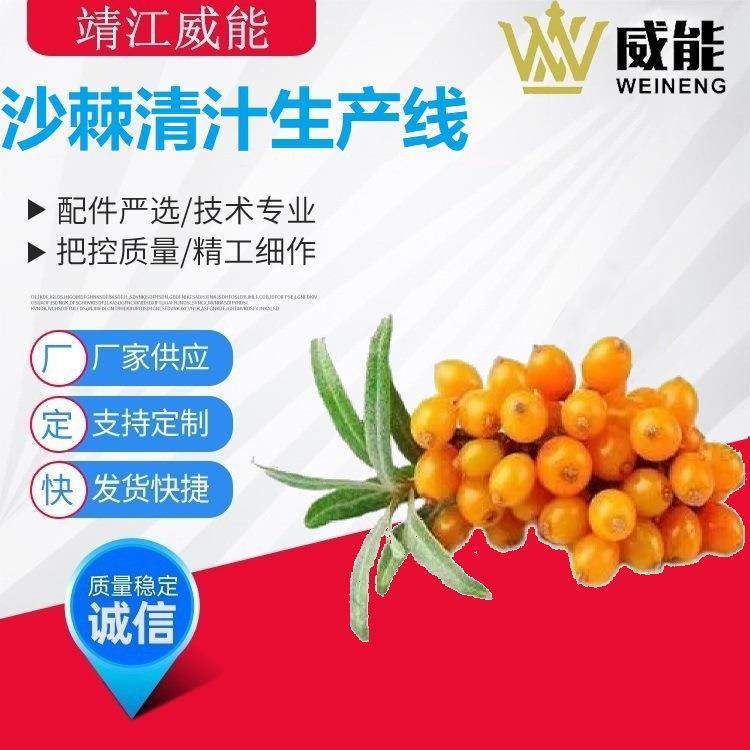 厂家直销大型工业商用不锈钢优质的沙棘果清汁生产线,厨房电器,削皮机,淘宝优惠券,粉丝福利购,淘宝优惠卷