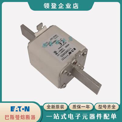 快速熔断器170M5408/5409/5410/5411/5412/5413/5414/5415/5416