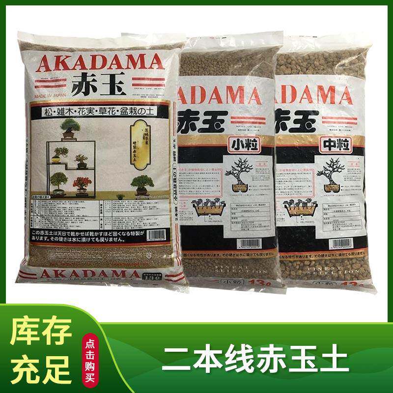 赤玉土多肉营养土兰花盆景种植鱼缸造景铺面扦插颗粒土园艺专用