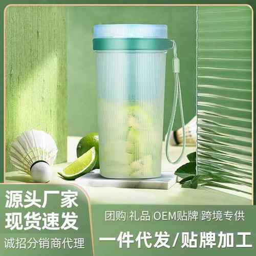 网红榨汁机便携式迷你家用榨汁杯USB水果机电动果汁杯厂家直销