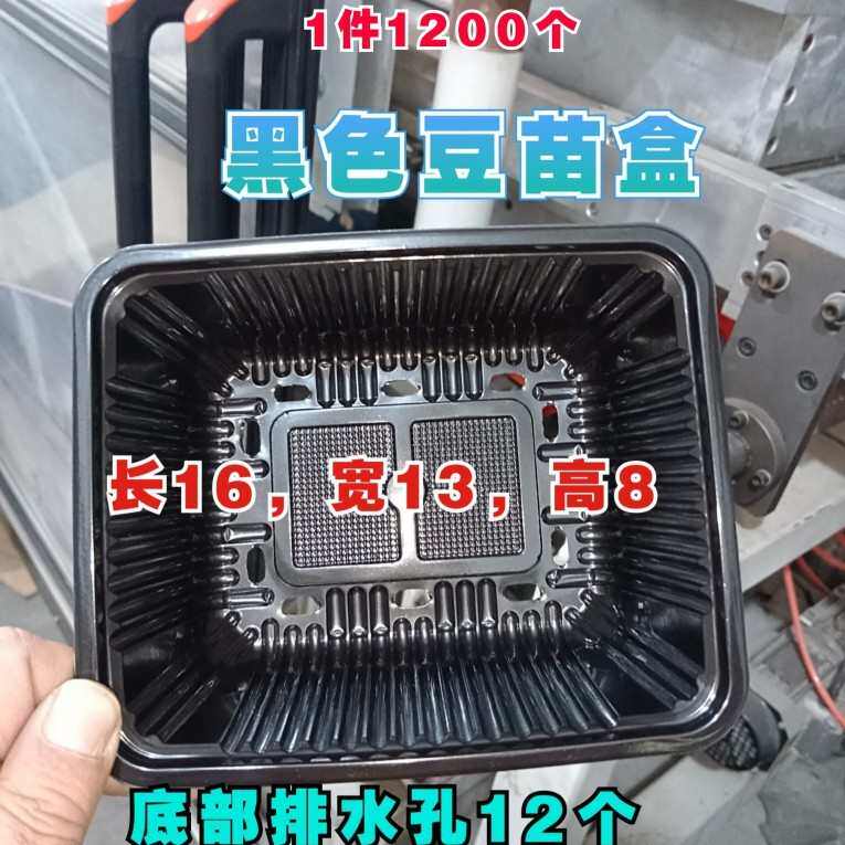 黄豆芽豆苗芽苗菜豌豆苗一次性塑料种植盒带盖育苗盘打包盒