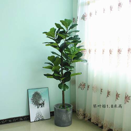 仿真植物琴叶榕绿植高端北欧软装落地花艺美陈装饰茶室客厅中式款