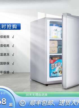 小冰柜家用小型抽屉式电冰箱婴儿冻奶立式冰柜侧开门全冷冻小冰箱