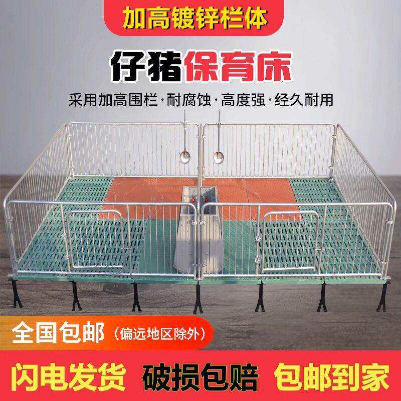 仔猪保育床围栏覆合漏粪板带电热板小猪保育栏猪床母猪产床定位栏