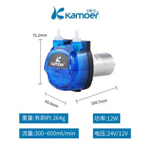 果汁微型抽水泵工業(yè)迷你 蠕動(dòng)小型卡默泵泵小直流爾耐腐蝕12v水泵