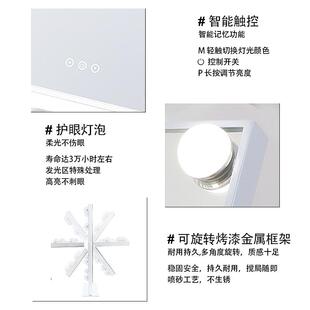 多功能化妆镜带灯梳妆镜网红美颜补光梳妆台镜子化妆镜台式桌面
