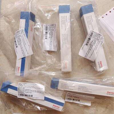 1320110赛默飞蠕动泵管Santoprene直径1.295灰色/灰色