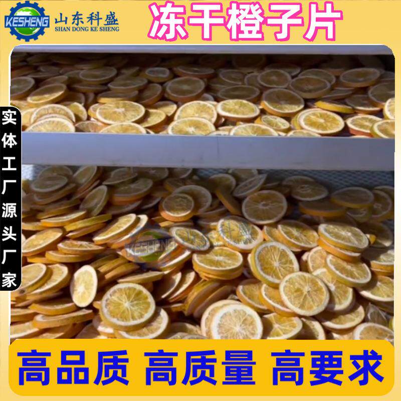 菊花茶冻机 柠檬瑰片RON花茶干燥机/干燥箱/烘干