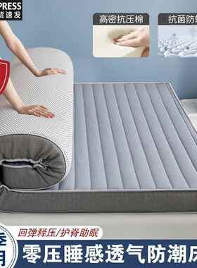 厚床垫家用软加垫租房米专用榻榻生宿KHU舍单学人防潮床垫铺底褥