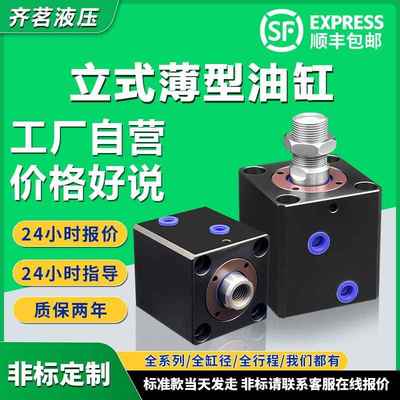 薄型油缸立式内外牙液压油缸CX-SD20/25/32/40/50/63小型模具油缸