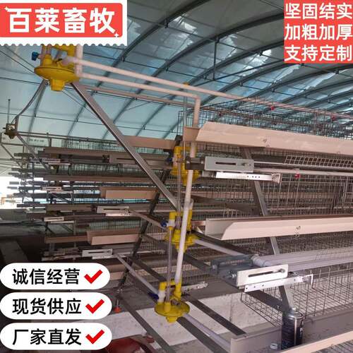 热镀锌阶梯蛋鸡笼热镀锌耐腐蚀耐用层间错位防粪便污