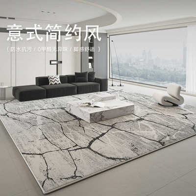 耐脏2025铺卧室轻地毯新款客厅地毯加厚奢整高级易天津感打理地毯