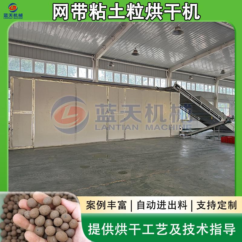 黏土制粒烘干设备大型陶粒膨润土粒脱水干燥机网带粘土粒烘干机