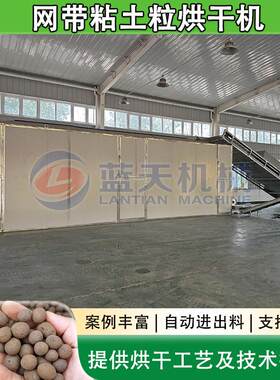 黏土制粒烘干设备大型陶粒膨润土粒脱水干燥机网带粘土粒烘干机